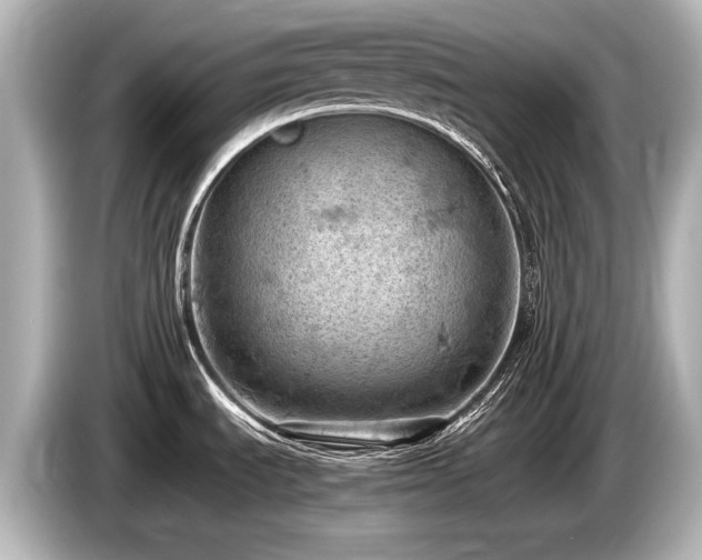 X0000085751535200703161043