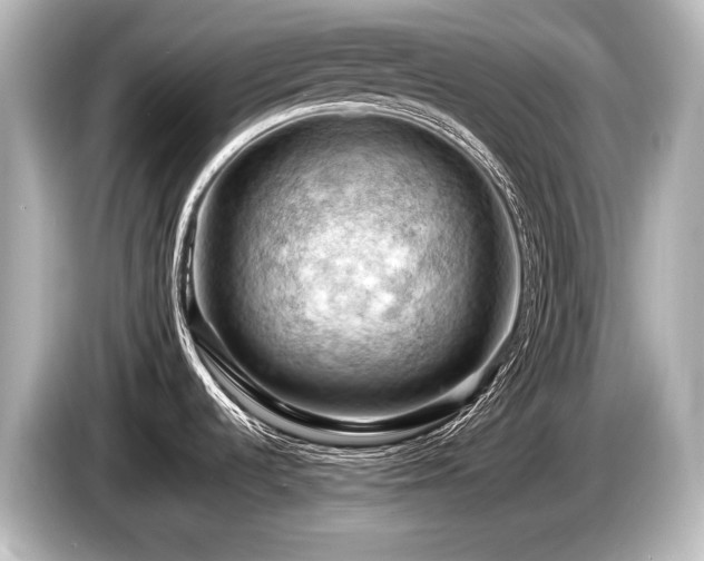 X0000085751536200703161043