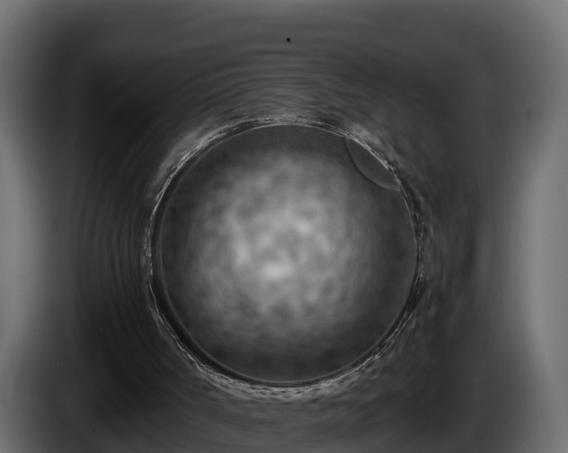 X0000085750002200703231143