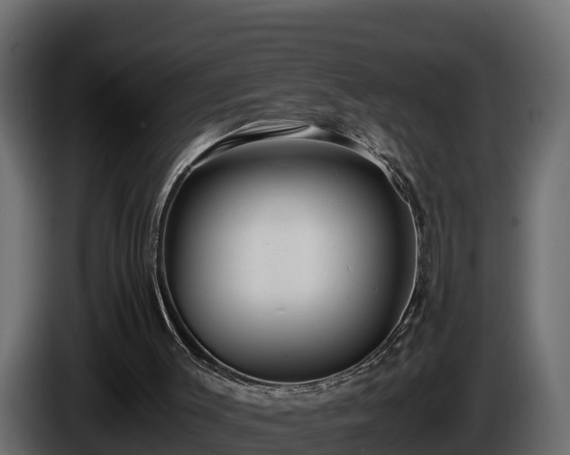 X0000085750003200703231143