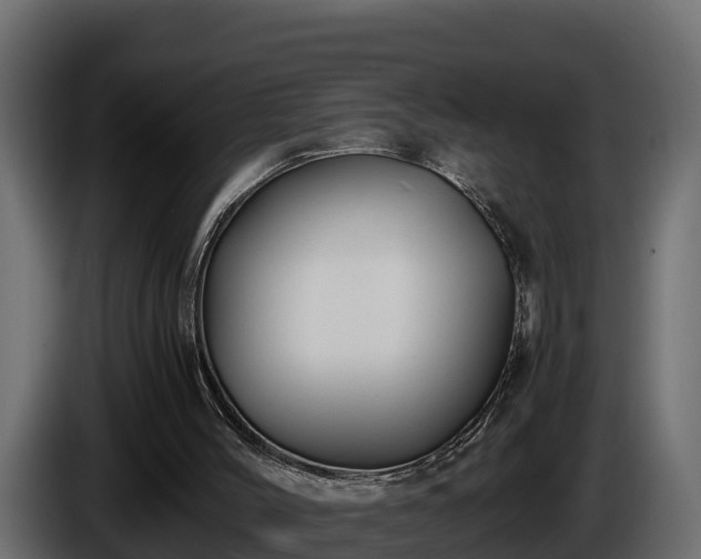 X0000085750004200703231143