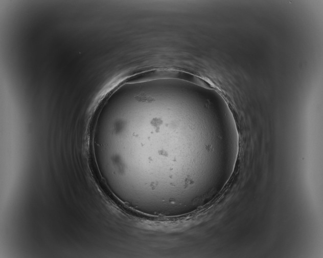 X0000085750005200703231143