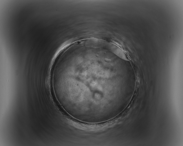 X0000085750006200703231143