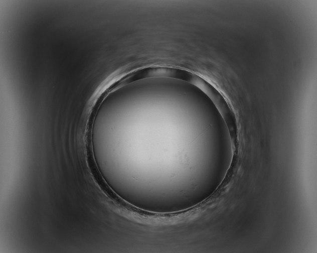 X0000085750007200703231143