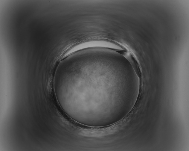 X0000085750009200703231143