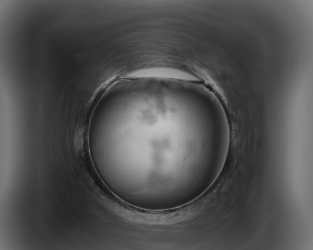 X0000085750010200703231143