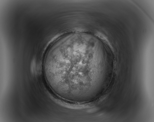 X0000085750012200703231143