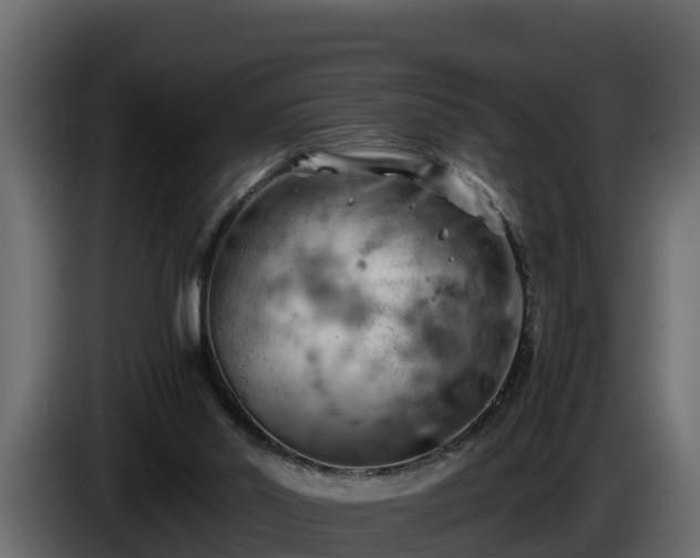 X0000085750014200703231142