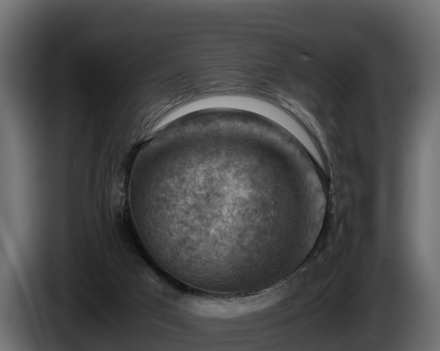 X0000085750017200703231142