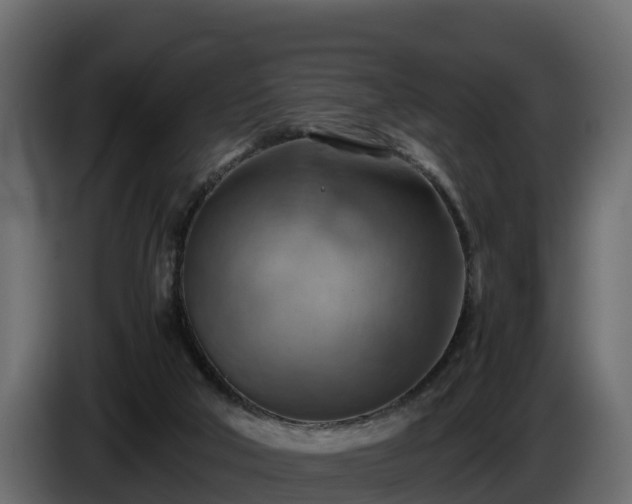 X0000085750018200703231142