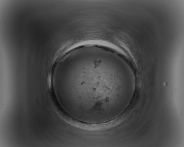 X0000085750019200703231142