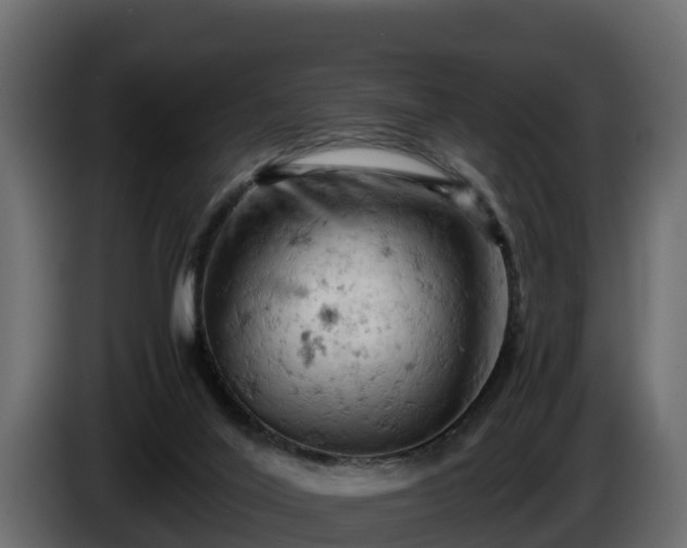 X0000085750020200703231142