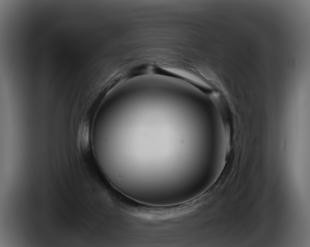 X0000085750021200703231142