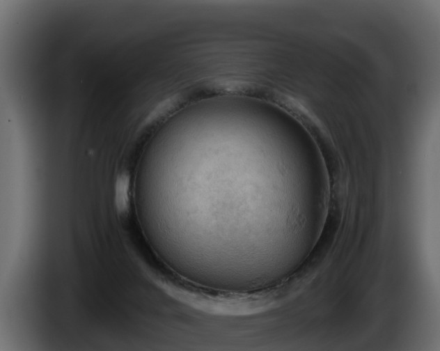 X0000085750024200703231142