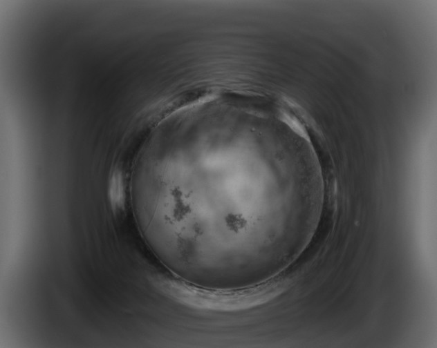 X0000085750026200703231142