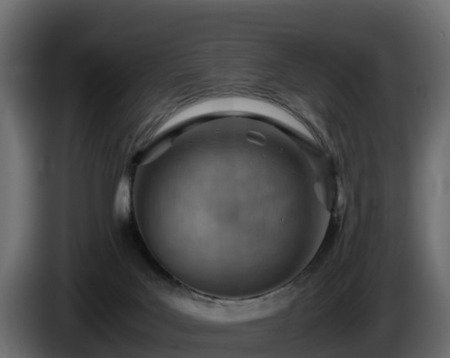 X0000085750027200703231142