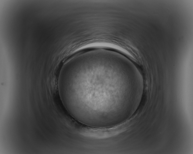 X0000085750029200703231142