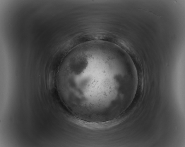 X0000085750030200703231142