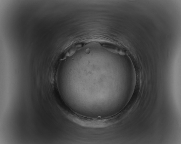 X0000085750032200703231142