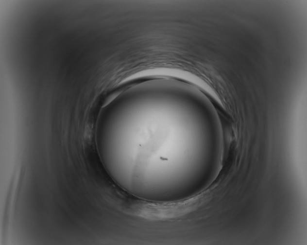 X0000085750033200703231142