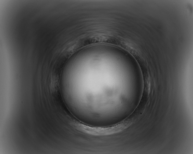 X0000085750034200703231142