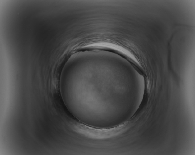 X0000085750035200703231142