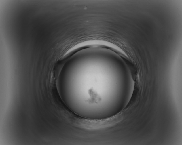 X0000085750037200703231142