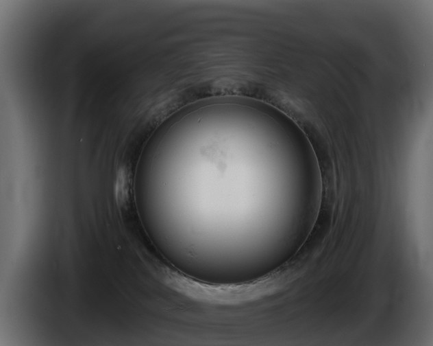 X0000085750038200703231142