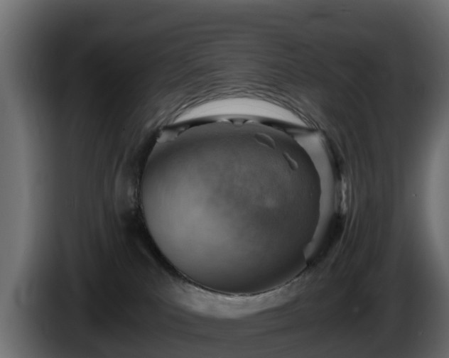 X0000085750039200703231142