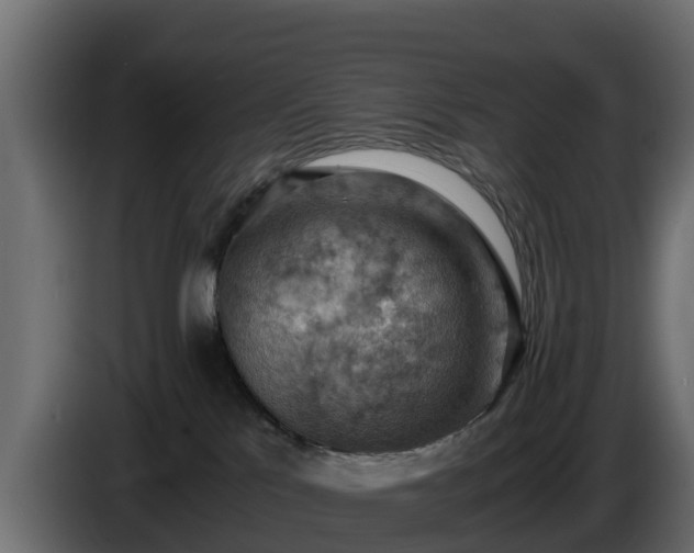 X0000085750041200703231142