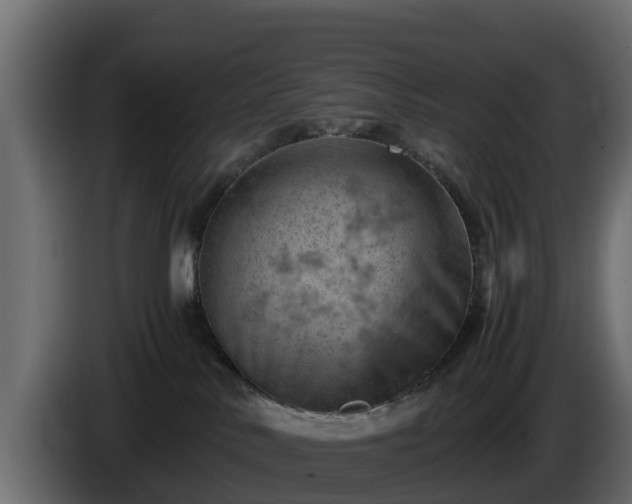 X0000085750042200703231142