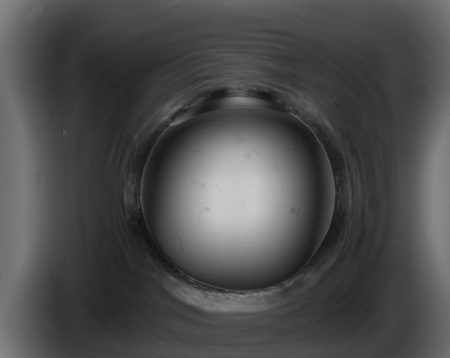 X0000085750044200703231142