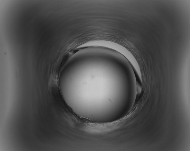 X0000085750045200703231142