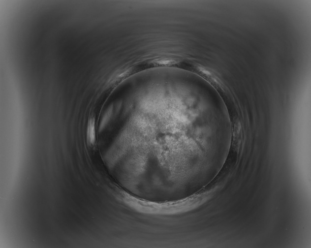 X0000085750046200703231142