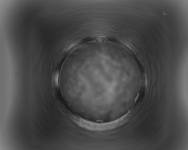 X0000085750047200703231142