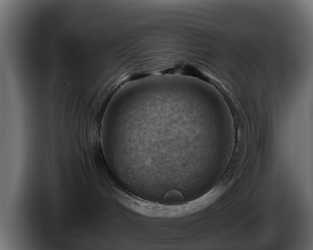 X0000085750048200703231142