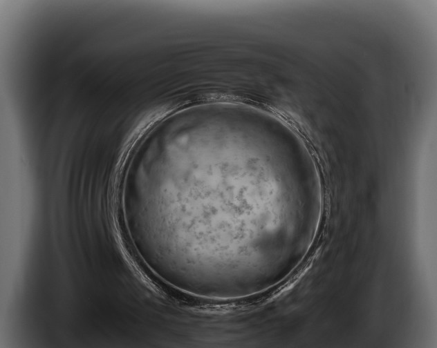 X0000085750049200703231141