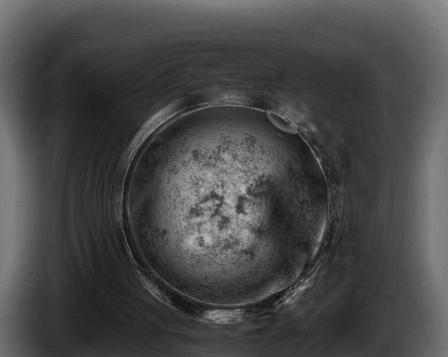 X0000085750051200703231141