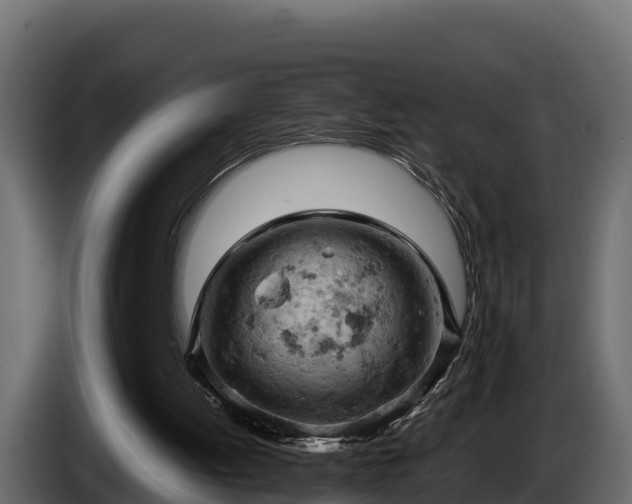 X0000085750052200703231141