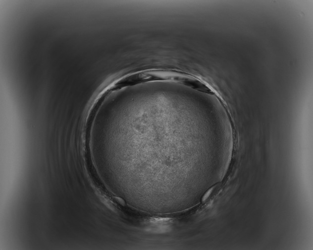 X0000085750055200703231141