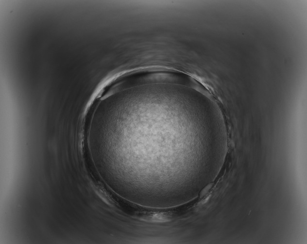 X0000085750056200703231141