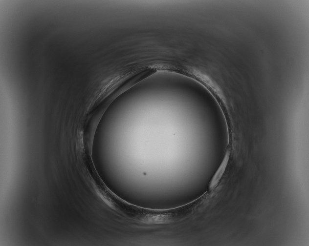 X0000085750057200703231141