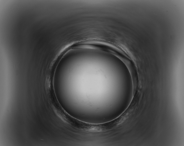 X0000085750060200703231141