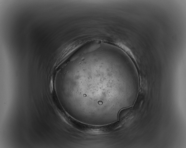 X0000085750061200703231141