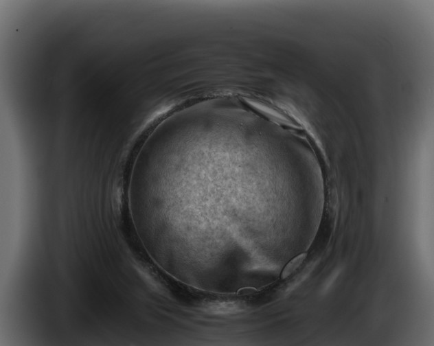 X0000085750063200703231141