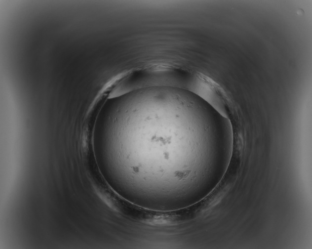 X0000085750064200703231141