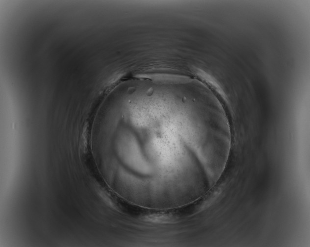 X0000085750065200703231142