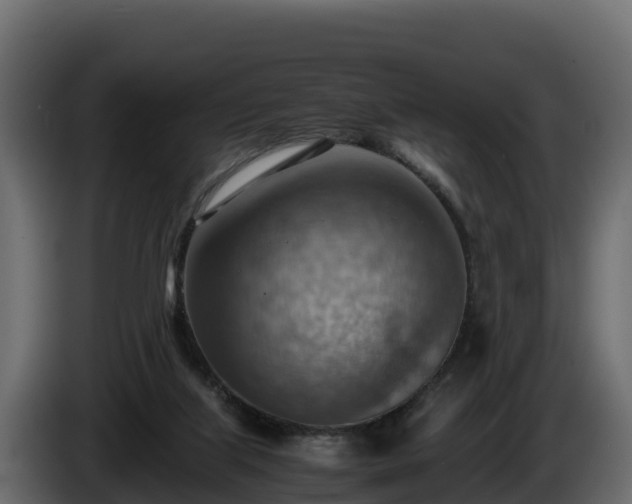 X0000085750067200703231142