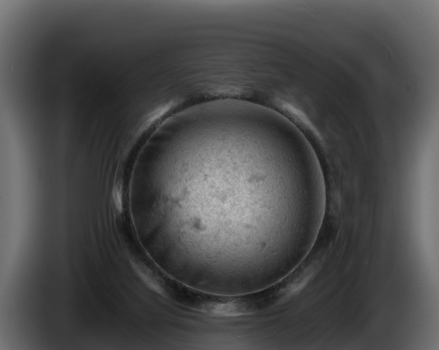 X0000085750068200703231142