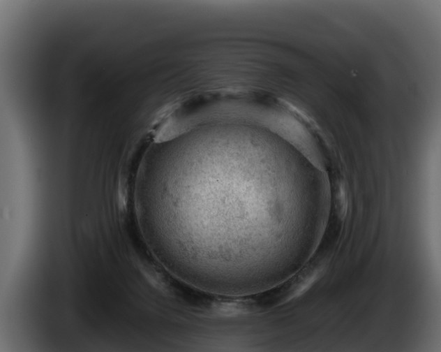 X0000085750072200703231142